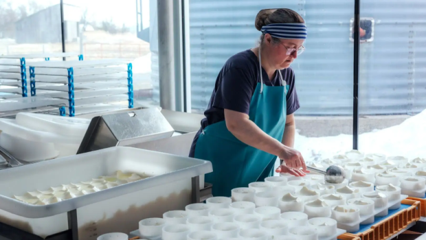 Dix fromages québécois qui laissent pantois