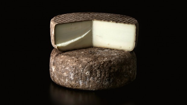 Tomme du Haut St-François (Ma) - Fromagerie du Vieux Saint-François